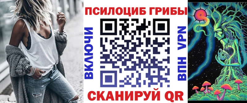 Купить где  Кашин  Псилоцибиновые грибы мухоморы 